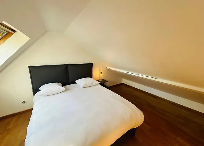 Le Majestueux Brulee Hypercentre Parking