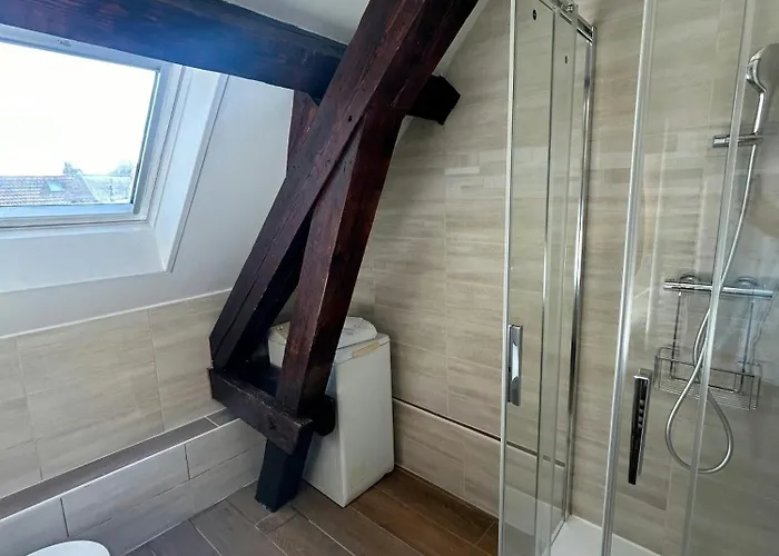 Apartament Le Majestueux Brulee Hypercentre Parking