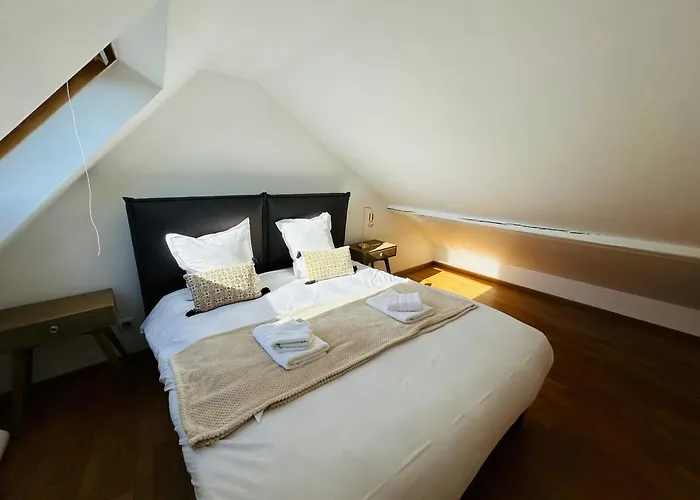 Apartament Le Majestueux Brulee Hypercentre Parking